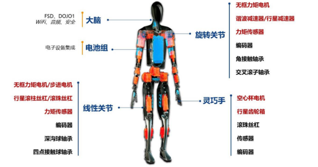 人形机器人零部件详细分析——Tesla Optimus 人形机器人零部件详细分析——Tesla Optimus