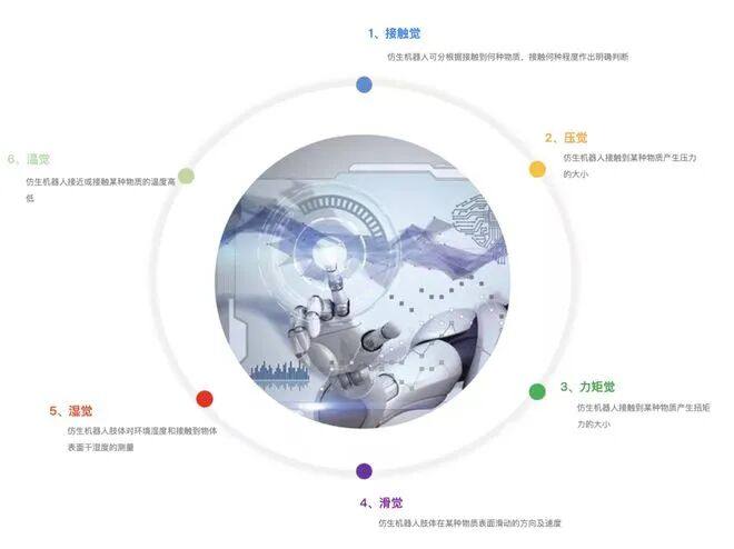 对话他山科技马扬：从剥小龙虾开始，他要让机器人成为真正的“新劳动力”