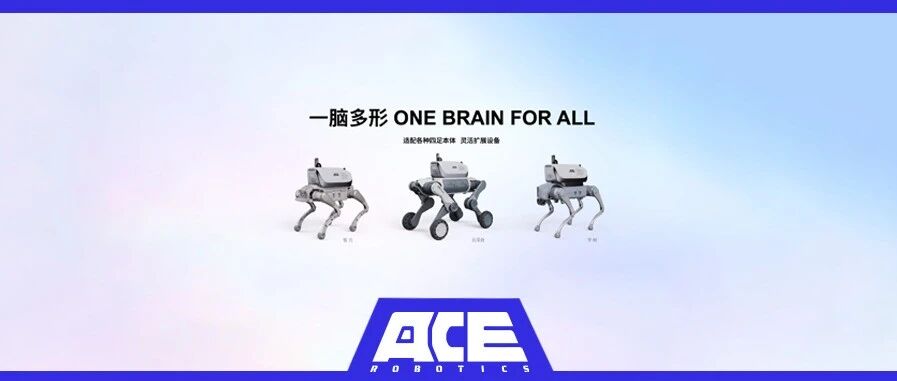 大晓机器人推出具身超级大脑模组A1，创新自主空间智能让机器人学会“自主探索”